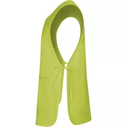 Casulla Reversible Arzak ROLY adulto